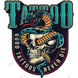 Vintage Tattoo Skull and Snake