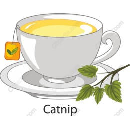 Catnip Tea Cup