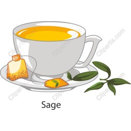 Sage Tea Cup