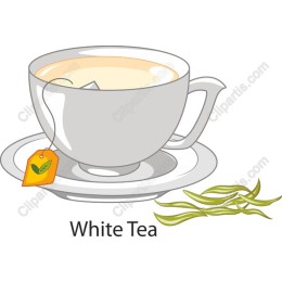 Elegant White Tea