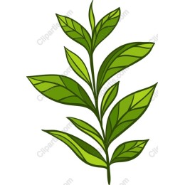 Vibrant Green Leaf