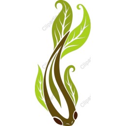 Eco-Friendly Fish and Leaf