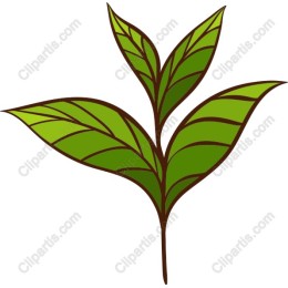 Lush Green Plant