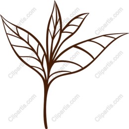 Elegant Botanical Leaf
