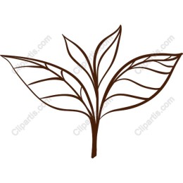 Stylized Leaf