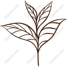 Elegant Leaf