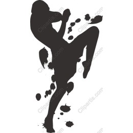 Dynamic Kicking Fighter