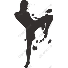 Dynamic Martial Artist