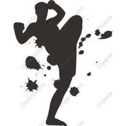 Dynamic Kickboxer