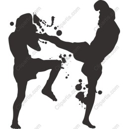 Dynamic Martial Arts Action
