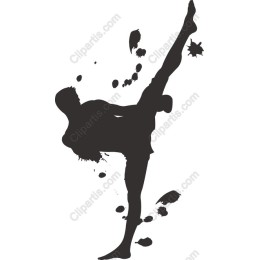 Dynamic Martial Arts Kick