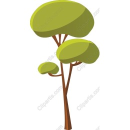 Vibrant Tree