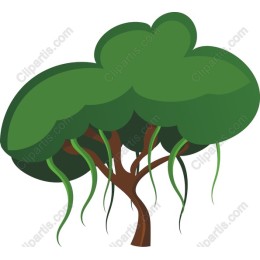 Lush Green Tree