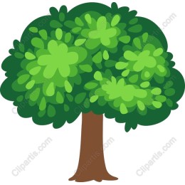 Lush Green Tree