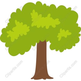 Charming Lush Green Tree