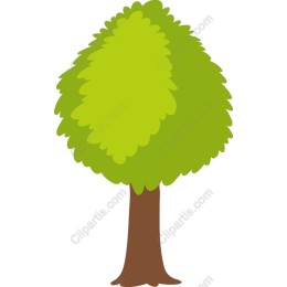 Vibrant Green Tree