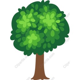 Lush Green Tree