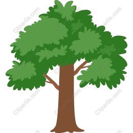 Lush Green Tree