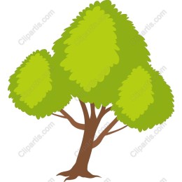 Vibrant Green Tree
