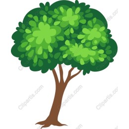 Lush Green Tree