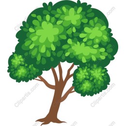 Lush Green Tree