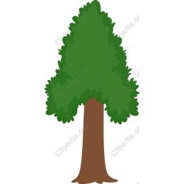 Lush Tree