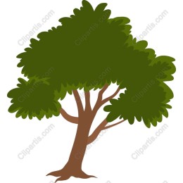 Lush Green Tree