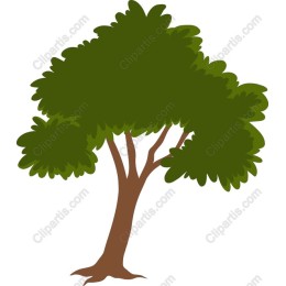 Lush Green Tree