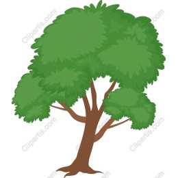 Lush Green Tree