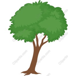 Lush Green Tree
