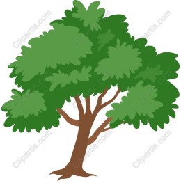 Lush Green Tree