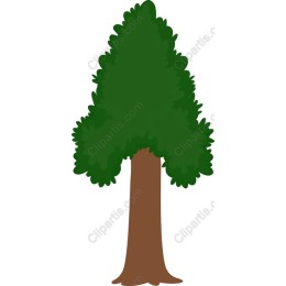 Vibrant Tree