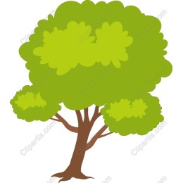Lush Green Tree