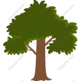 Lush Green Tree