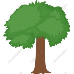 Lush Green Tree