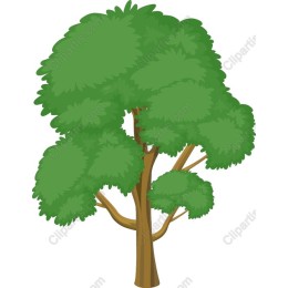 Lush Green Tree