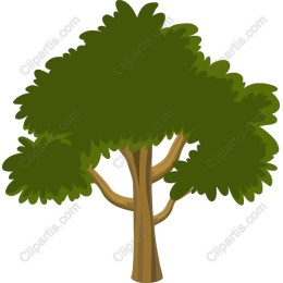 Vibrant Tree