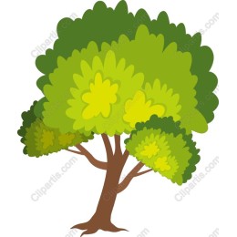 Vibrant Lush Tree