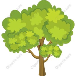 Lush Green Tree