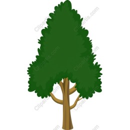 Vibrant Green Tree