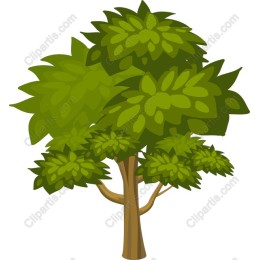 Lush Green Tree