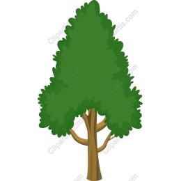 Vibrant Tree