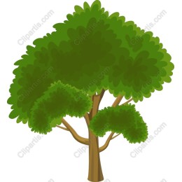 Lush Green Tree