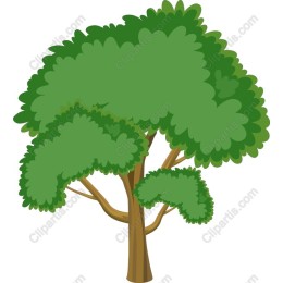 Lush Tree