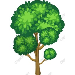 Lush Green Tree
