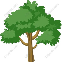 Lush Green Tree