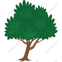 Lush Green Tree