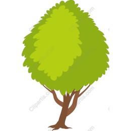Lush Green Tree