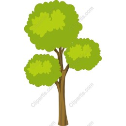 Lush Green Tree