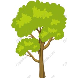 Lush Green Tree